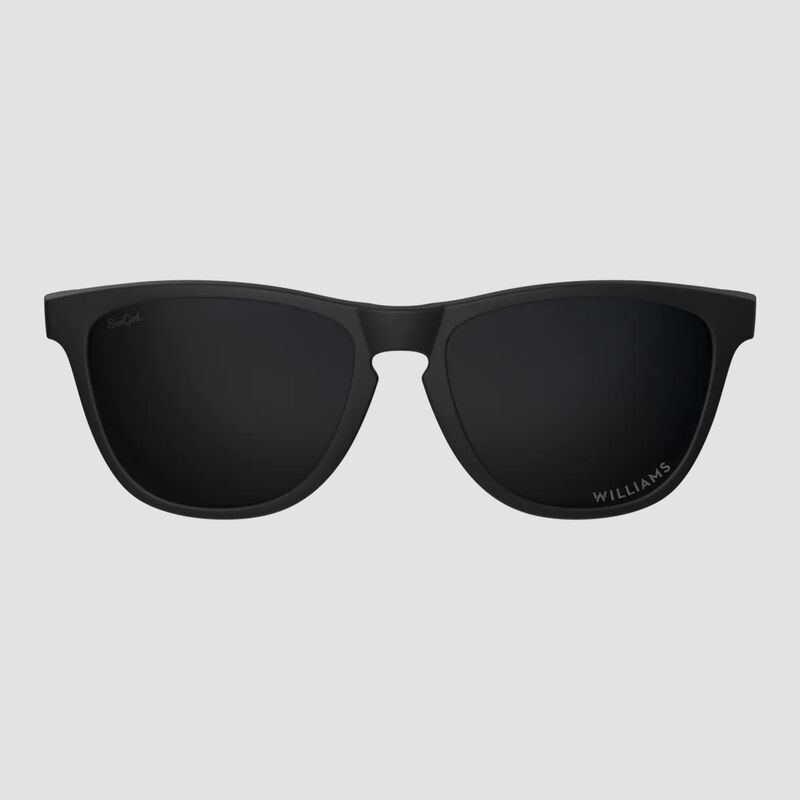 WR FW 24 CLASSICS SUNGLASSES - black