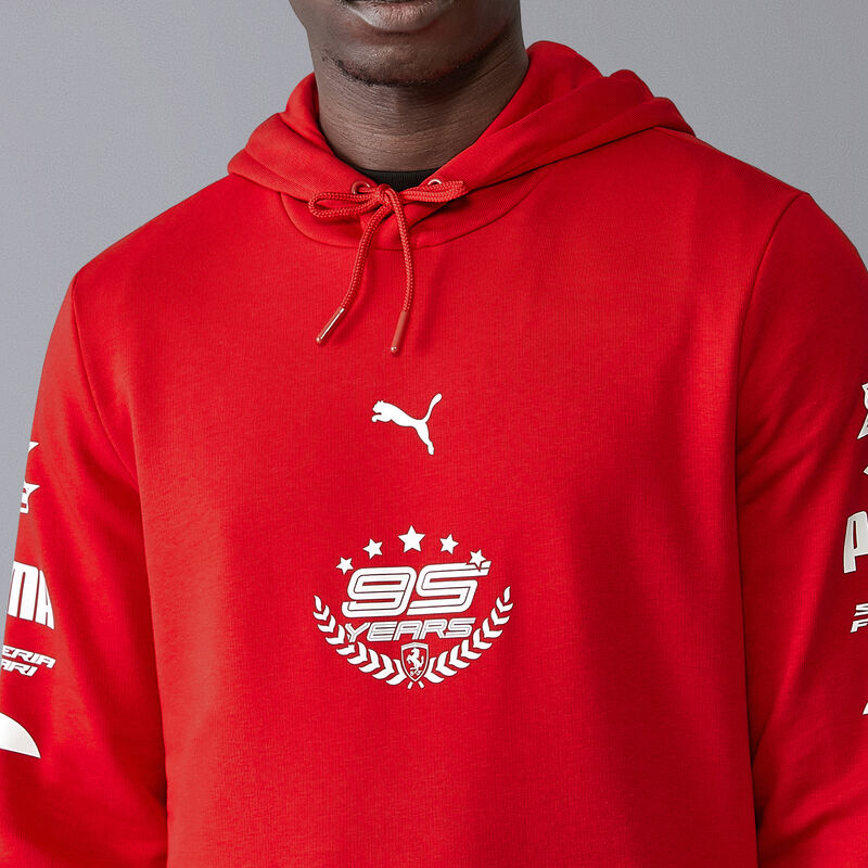 SF FW MENS GRAPHIC HOODY - red