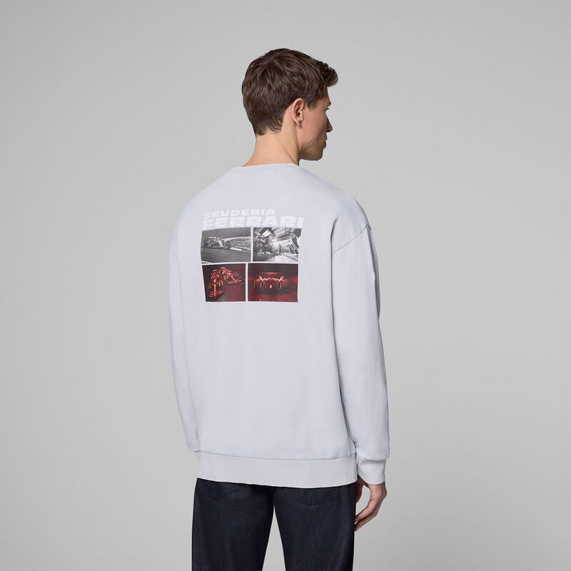 SF FW Driver Crew Sweatshirt - mid grey