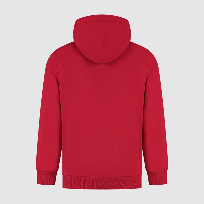 SF FW LARGE SHIELD HOODY - red