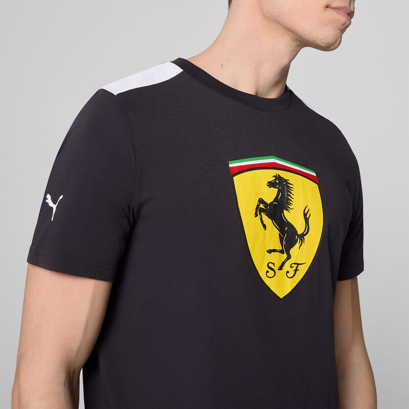SF FW MENS LARGE SHIELD TEE - black