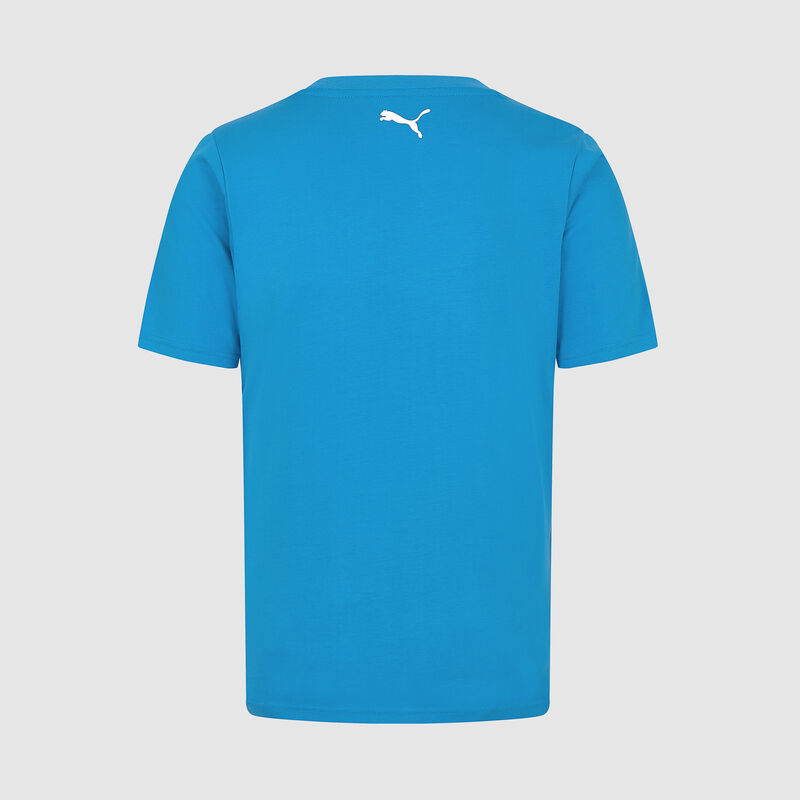 WILLIAMS RACING FW MENS LOGO TEE - electric blue