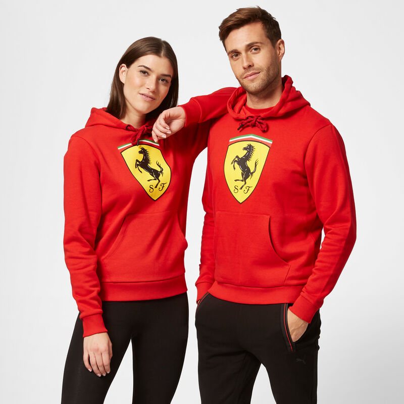 SF FW HOODED SWEAT - red