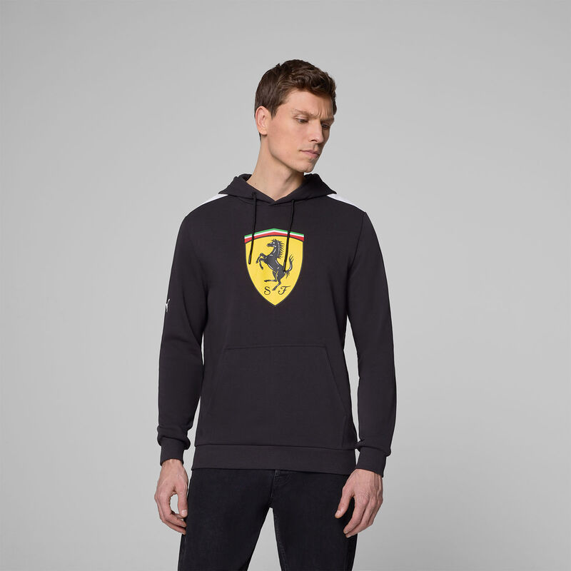 SF FW LARGE SHIELD HOODY - black