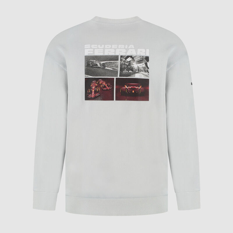 SF FW Driver Crew Sweatshirt - mid grey