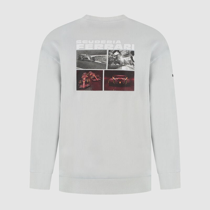 SF FW Driver Crew Sweatshirt - mid grey