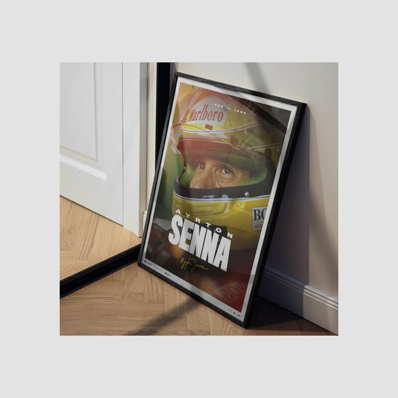 SENNA FACE POSTER - multicolor