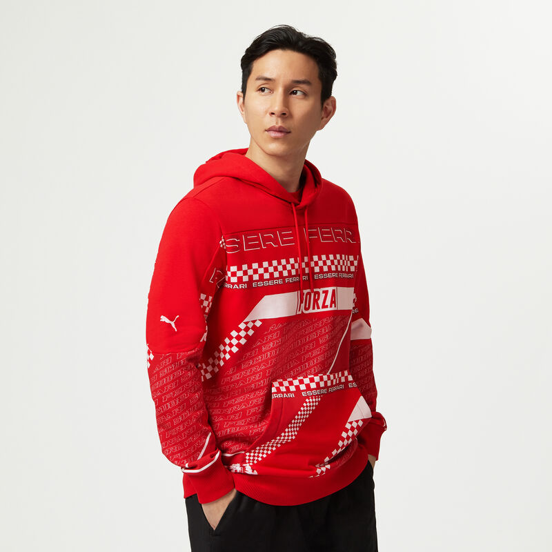 SF FW MENS GRAPHIC HOODY - red