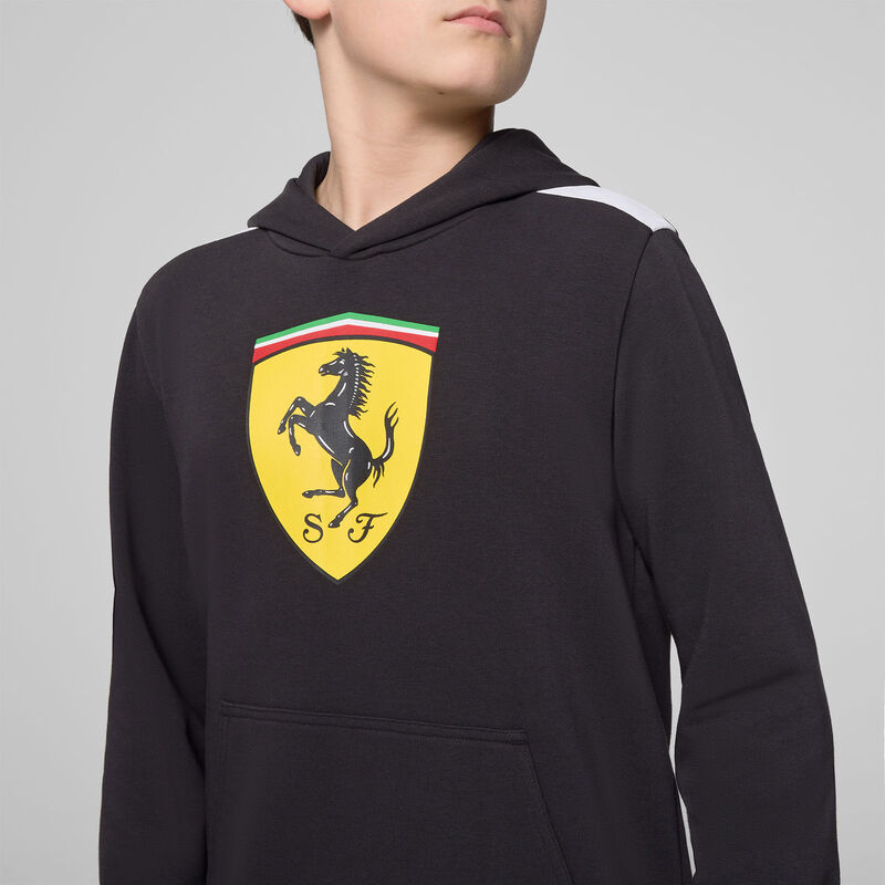 SF FW KIDS LARGE SHIELD HOODY - black