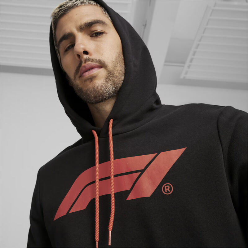 F1  FW Logo Hoodie - black
