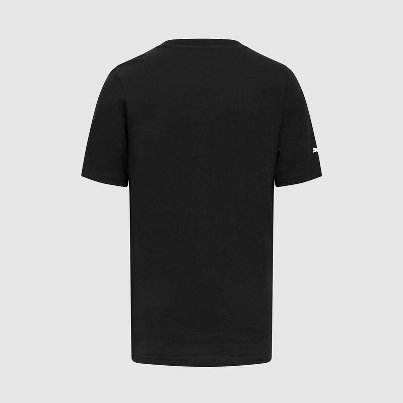 SF PU FW MENS LARGE SHIELD TEE - black