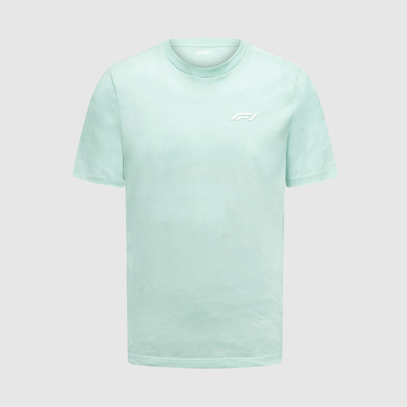F1 FW PASTEL TEE - blue
