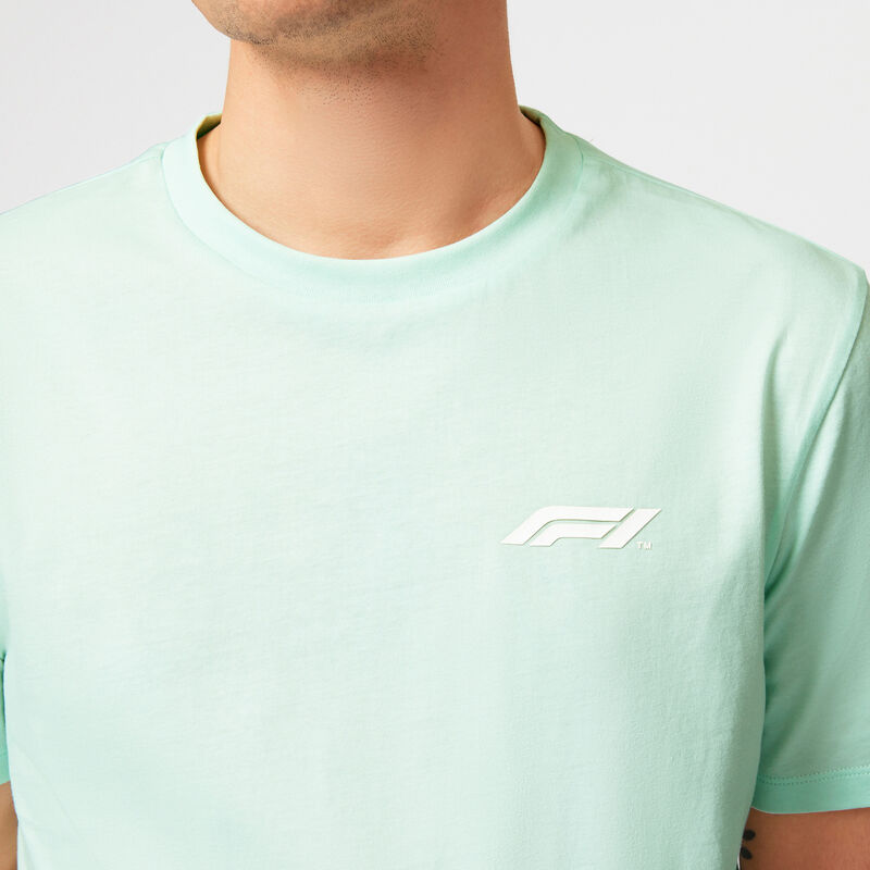 F1 FW PASTEL TEE - blue