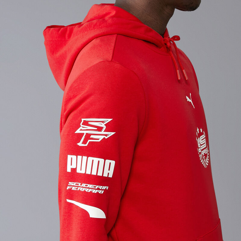 SF FW MENS GRAPHIC HOODY - red