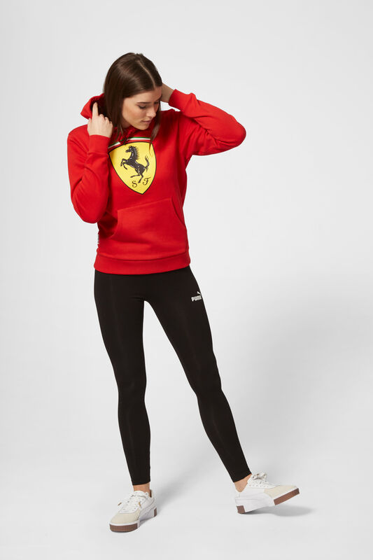 SF FW HOODED SWEAT - red