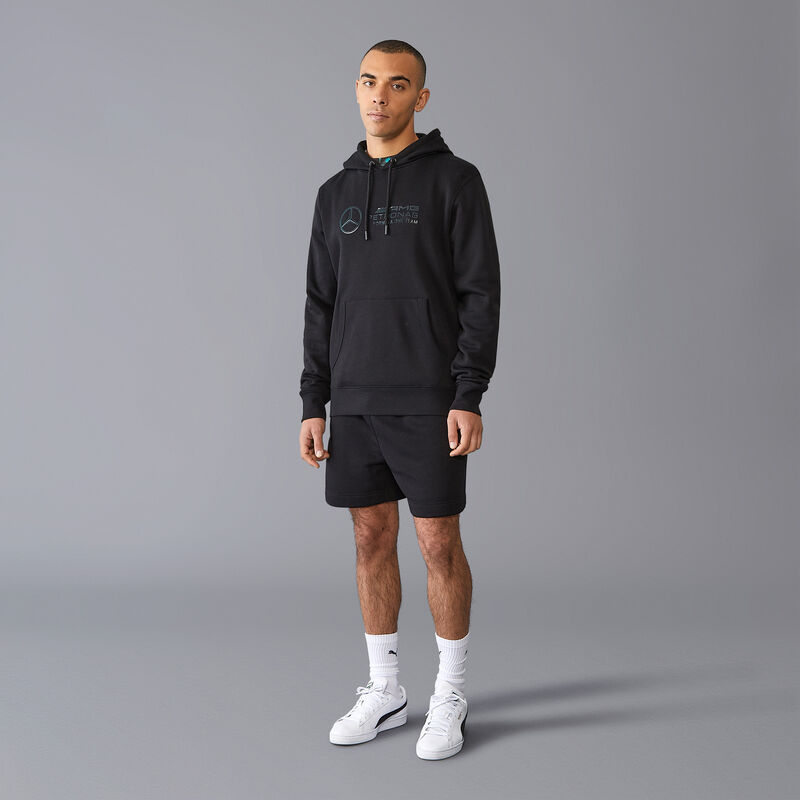MAPF1 FW MENS STEALTH LOGO HOODY - black