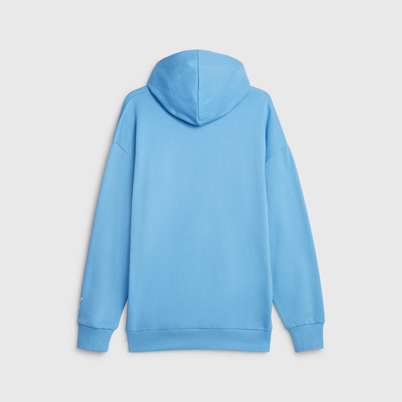 SF LS RACE COLORED BIG SHIELD HOODY - blue