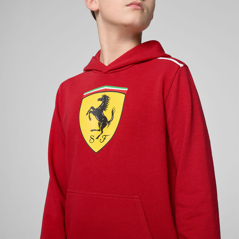 SF FW KIDS LARGE SHIELD HOODY - red