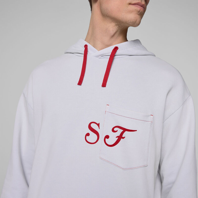 SF FW GRAPHIC HOODY - grey