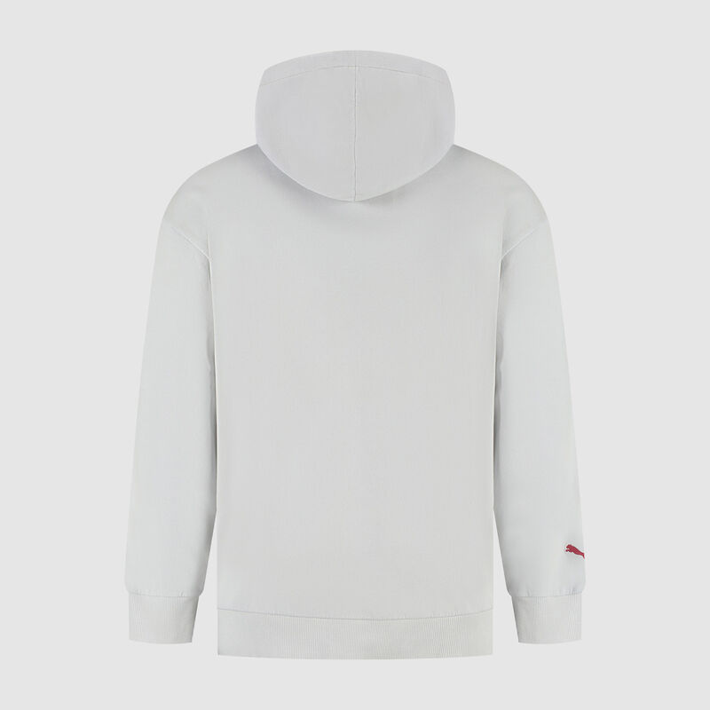 SF FW GRAPHIC HOODY - grey