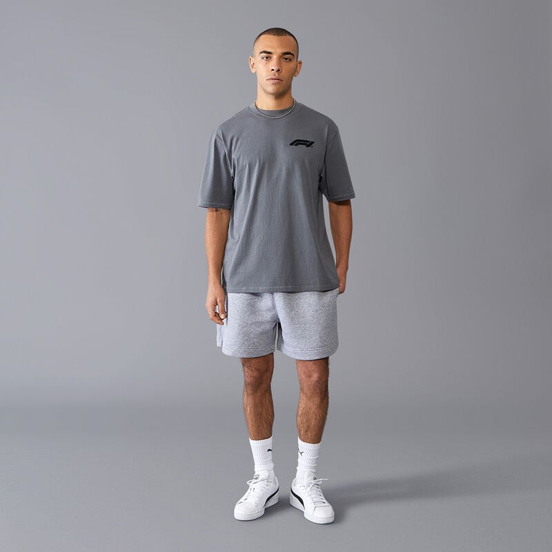 F1 FW RELAXED FIT BOUCLE TEE - grey melange