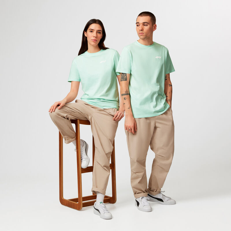 F1 FW PASTEL TEE - blue