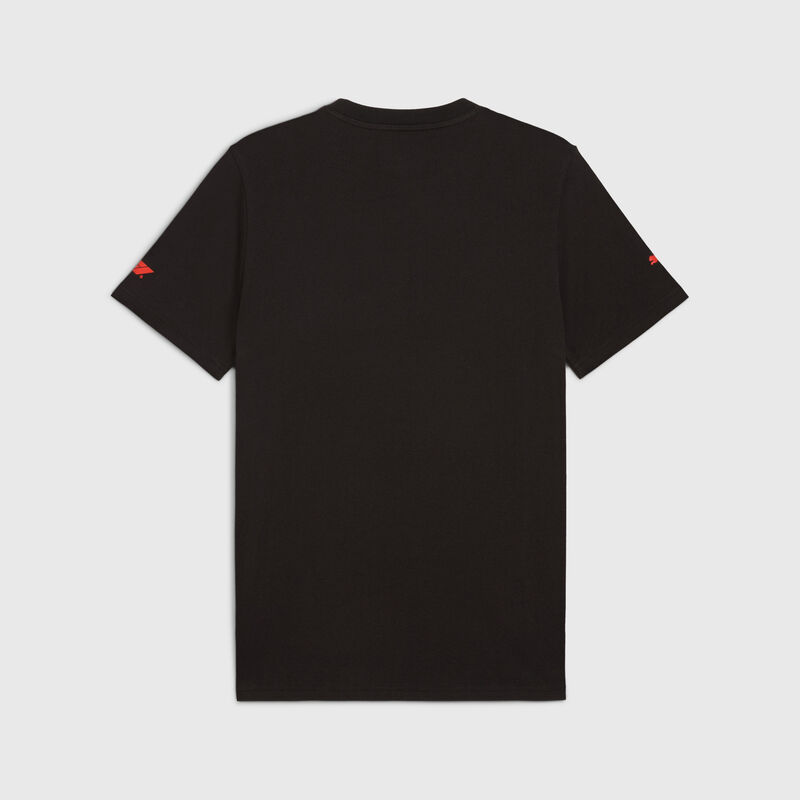 F1 FW DTS Graphic Tee - black