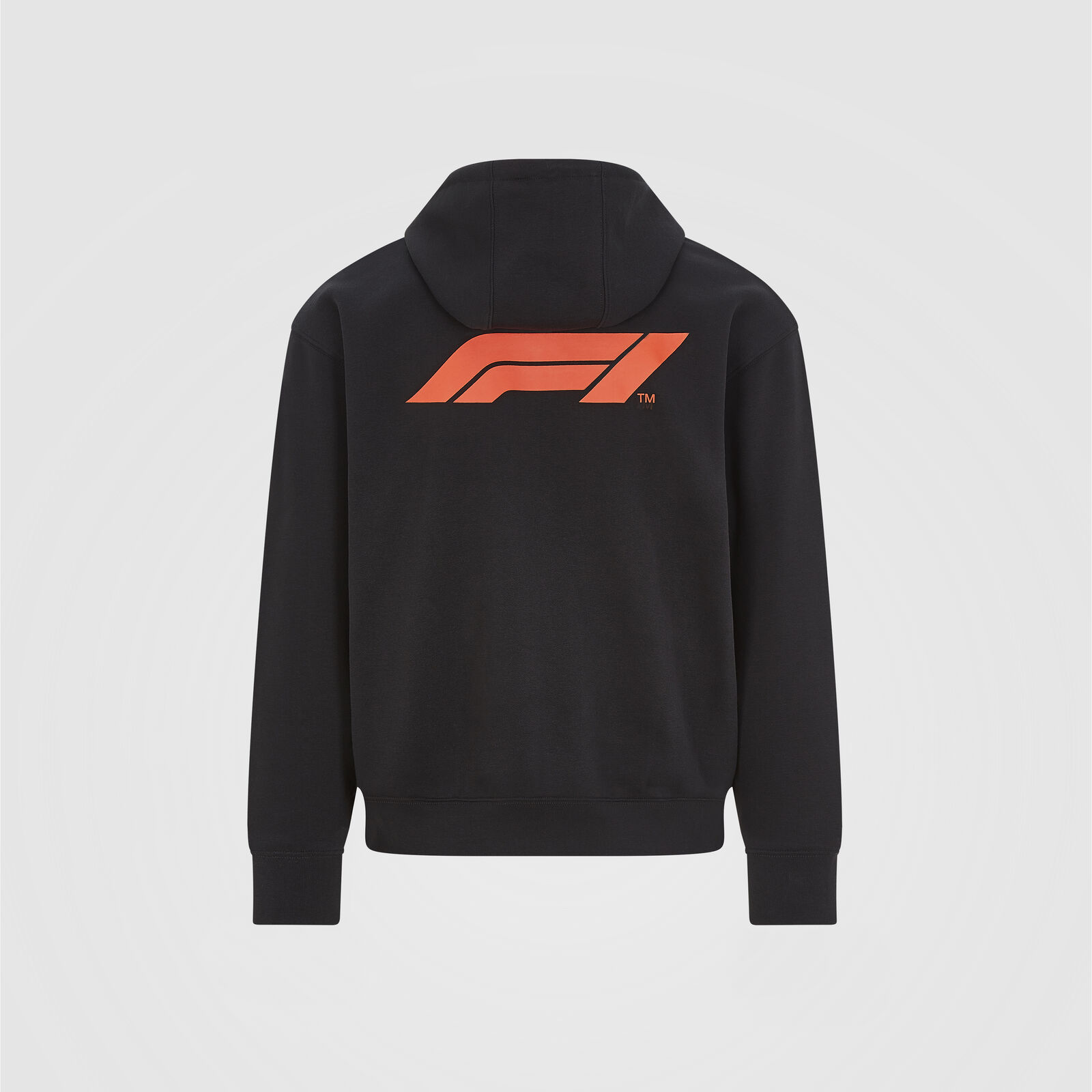 Small Logo Zip Hooded Sweat - F1 Collection