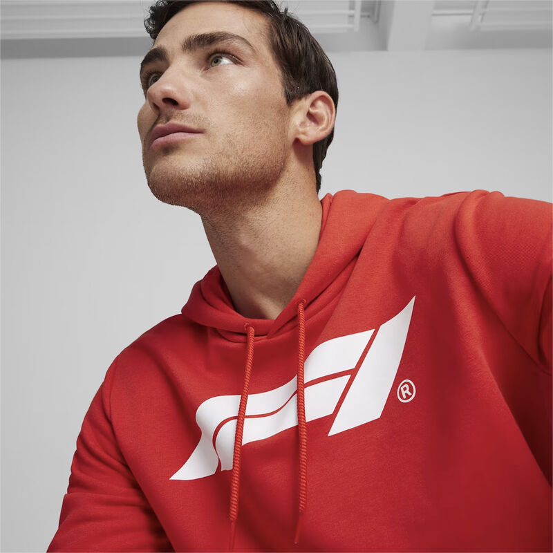 F1 ESS MENS LOGO HOODY - red
