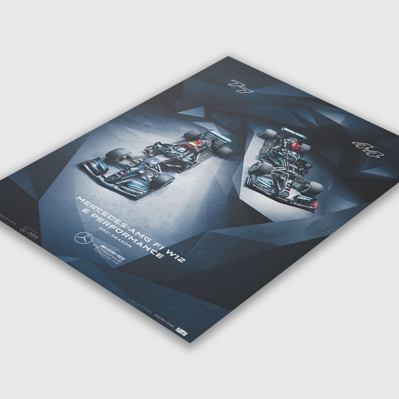 MAPM SEASON 21 TEAM LTD ED POSTER - grey