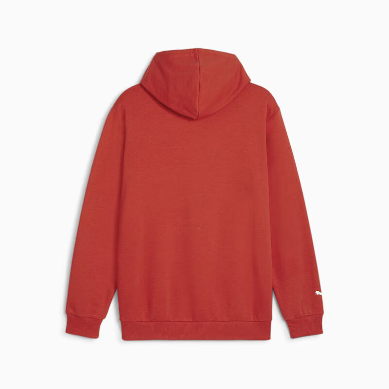 F1 ESS MENS LOGO HOODY - red