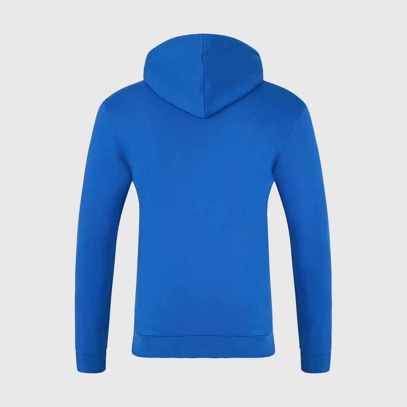 ALPINE FW UNISEX ESSENTIAL HOODIE - blue