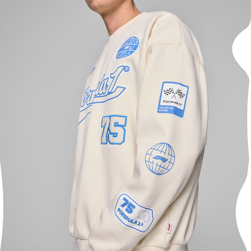 F1 FW HERITAGE GRAPHIC CREW SWEAT - beige